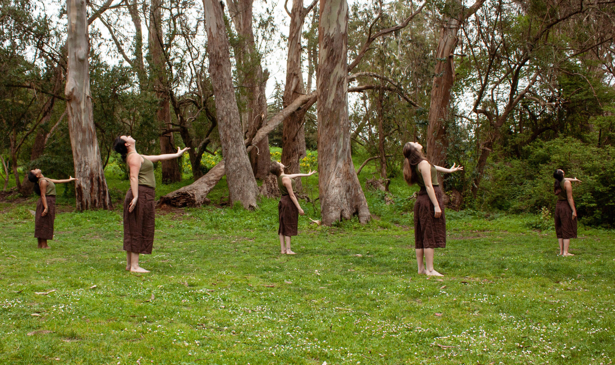 lungs of the earth | felicitas fischer